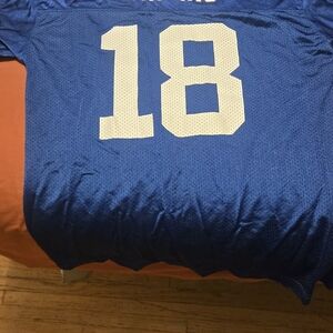 Reebok Blue NFL Jersey